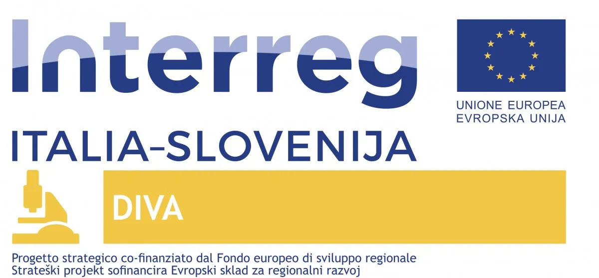 logo diva ita slovenia
